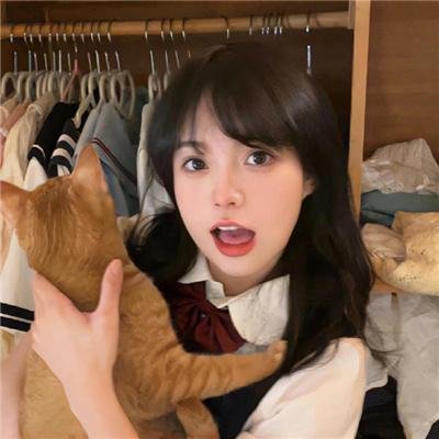 猫与苍蝇